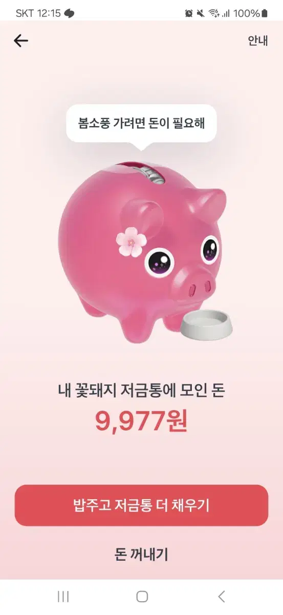 토스 꽃돼지 츄파츕스 갑니다